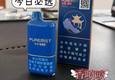 本雾楚韵