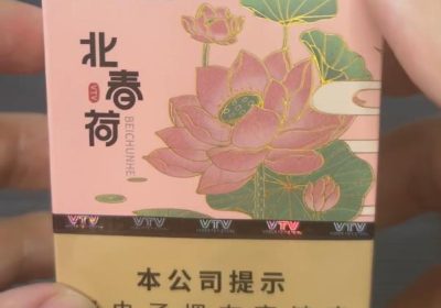 vtv北春荷