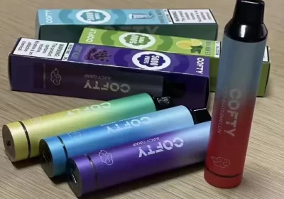 飞雾一次性电子烟官网是哪个