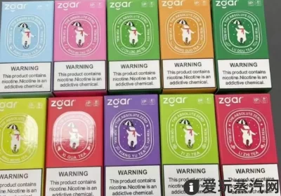 zgar真格冰熊