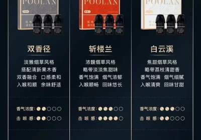 铂岚国标烟弹口味