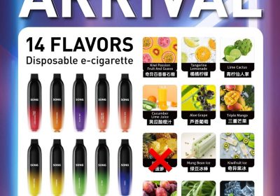崧炮一次性电子烟