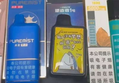 2023国标一次性电子烟排行榜
