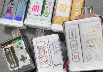 崧盒一次性电子烟多少钱