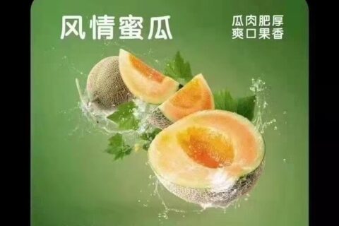 柚子五代风情蜜瓜口味评测：蜜瓜风味很甜