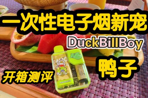 duck鸭子电子烟是什么？