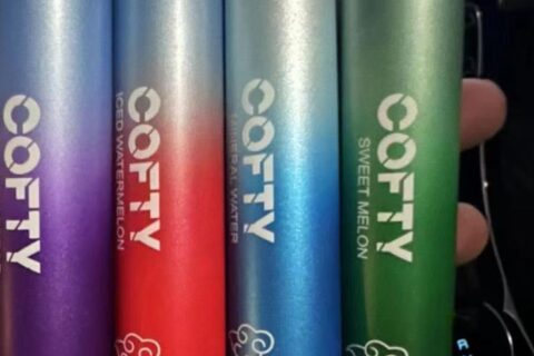 飞雾一次性充电器多少钱，飞雾一次性充电器多少钱一个