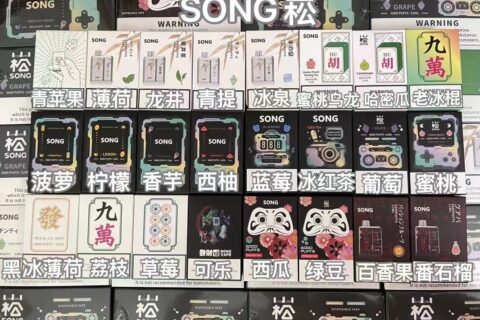 崧song电子烟售价，eason电子烟